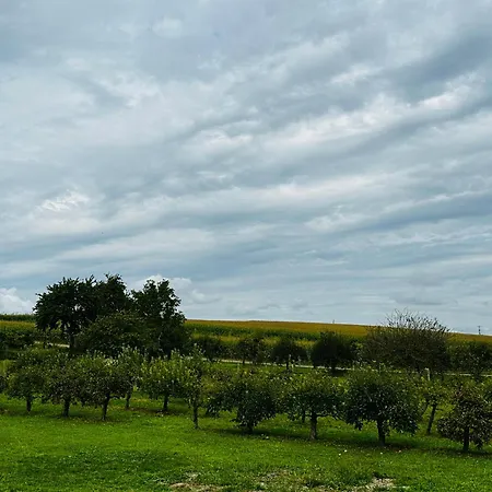 Hannah Nahe Freiburg Appartement
