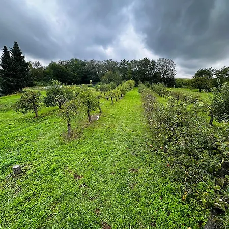 Hannah Nahe Freiburg * Schallstadt