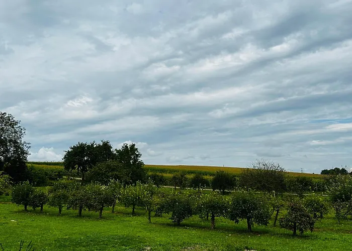 Hannah Nahe Freiburg Apartamento