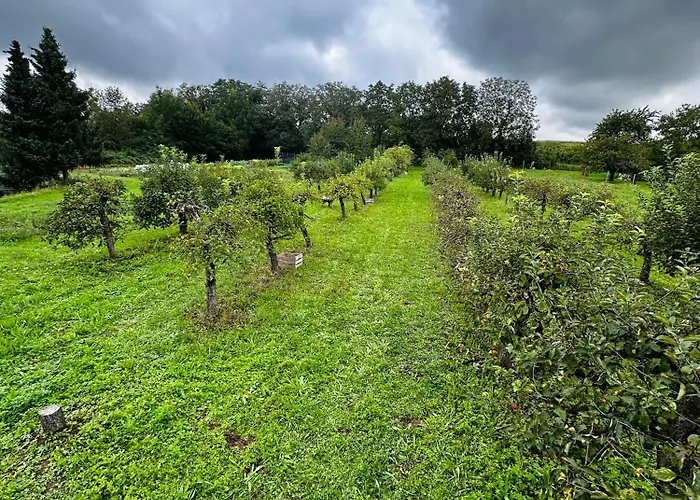 Hannah Nahe Freiburg * Schallstadt